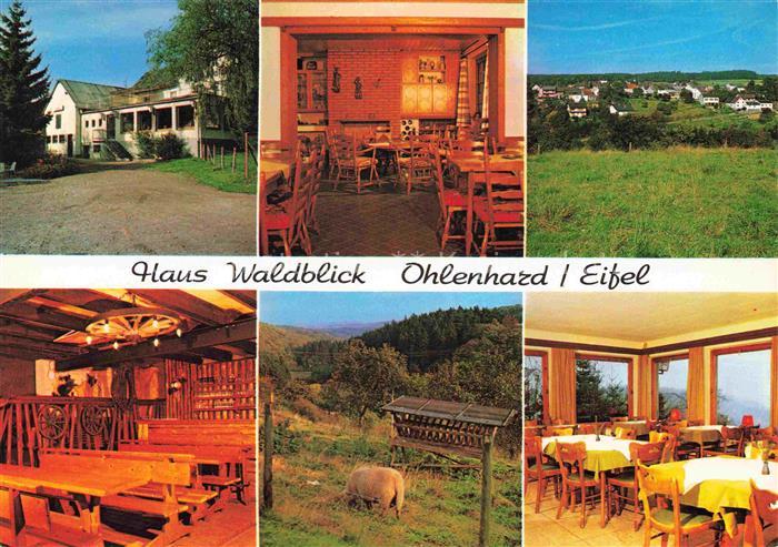 Ohlenhard Hotel Pension Fassbender Haus Waldblick Gastraum Landschaftspanorama