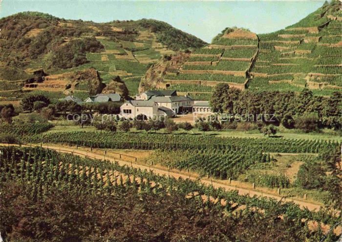 Altenahr Hotel Weinhaus Lochmuehle an der Ahr Weinberge