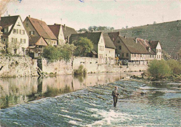 Dilsberg Neckar Neckargemuend Heidelberg BW Partie am Neckar Blick zur Altstadt
