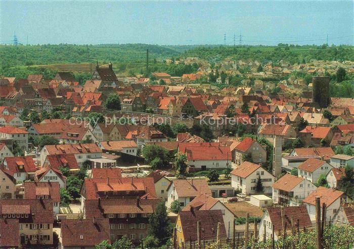 Besigheim Neckar Stadtpanorama