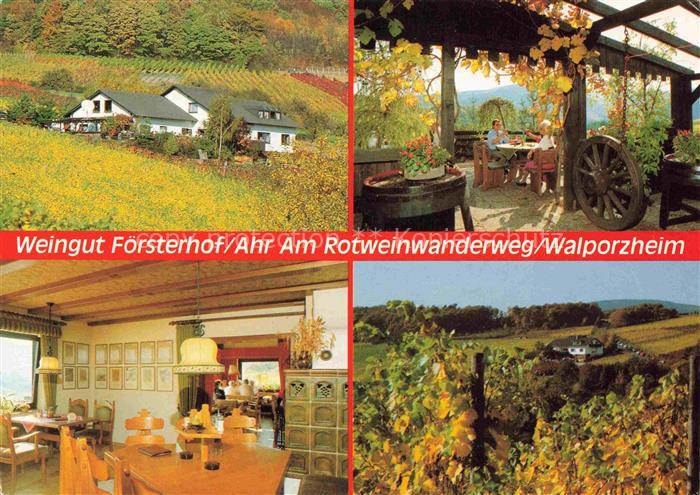 Walporzheim Weingut Foersterhof Terrasse Gastraum Panorama