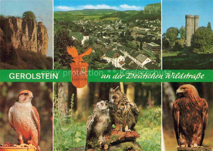 Gerolstein Rheinland-Pfalz Wildschutzpark Greifvoegel Felsen Panorama Turm