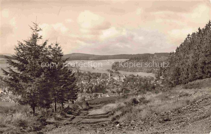 Berleburg Bad NRW Panorama Blick vom Hoellscheidt