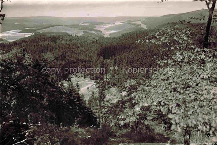 Laibach Bad Berleburg NRW Landschaftspanorama