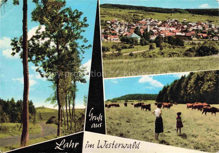 Lahr Westerwald Waldbrunn Hessen Panorama Landschaft Viehweide