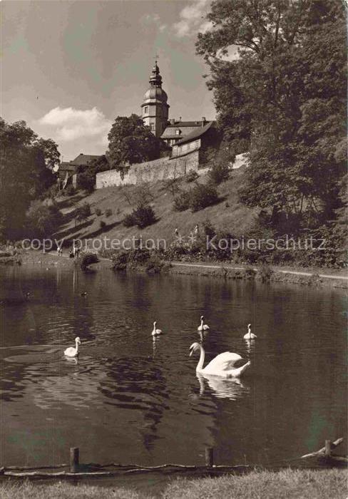 Berleburg Bad NRW Fuerstliches Schloss Schwaene