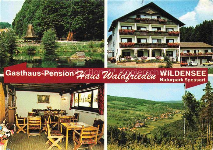 Wildensee Unterfranken Spessart Eschau Gasthaus Pension Haus Waldfrieden Teich L