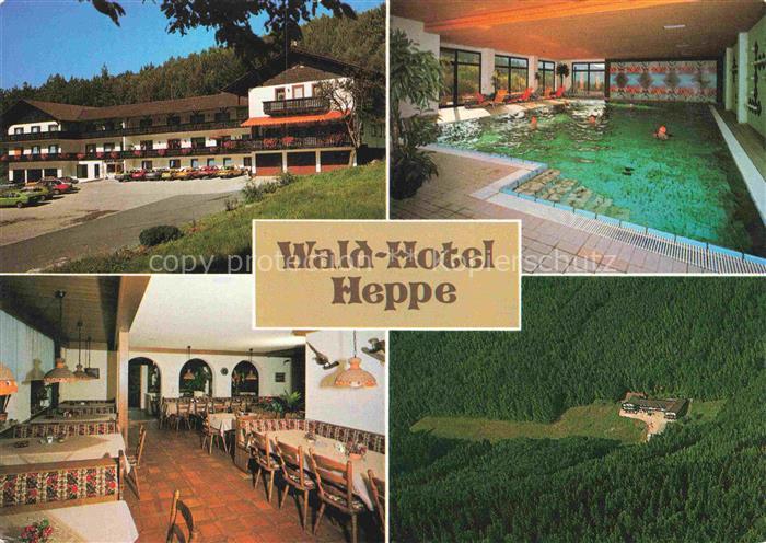 Dammbach Spessart Aschaffenburg Bayern Wald-Hotel Heppe Restaurant Hallenbad Luf