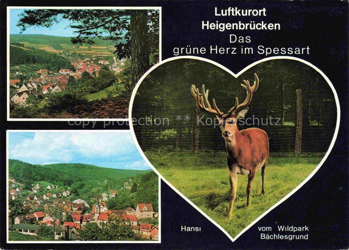 Heigenbruecken Panorama Luftkurort im Spessart Wildpark Baechlesgrund Hirsch