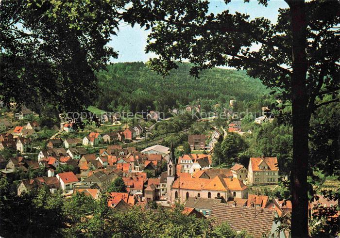 Heigenbruecken Teilansicht Luftkurort Naturpark Spessart