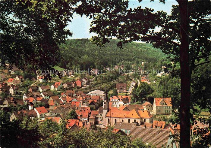 Heigenbruecken Teilansicht Luftkurort Naturpark Spessart