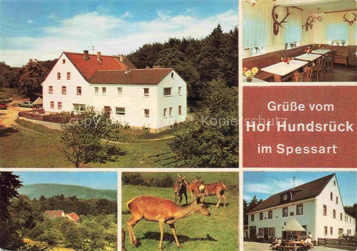Eschau Unterfranken Gasthaus Pension Hundsrueck Gastraum Wildpark