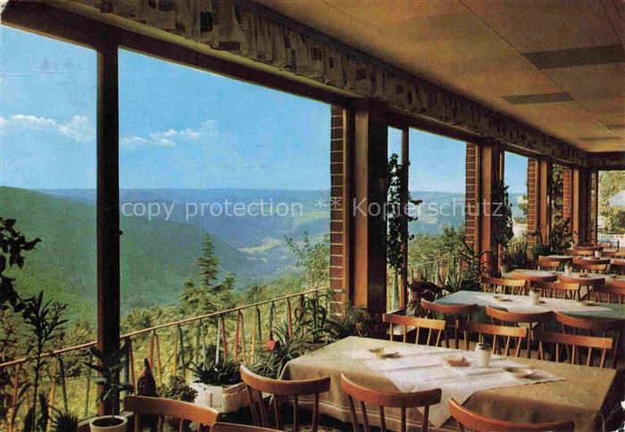 Pressberg Lorch Rheingau Gaststaette Rheingauer Alp Wintergarten