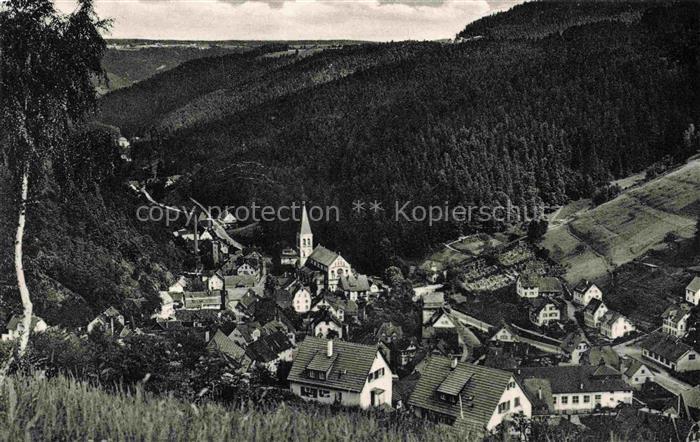 Lauterbach Schwarzwald Panorama