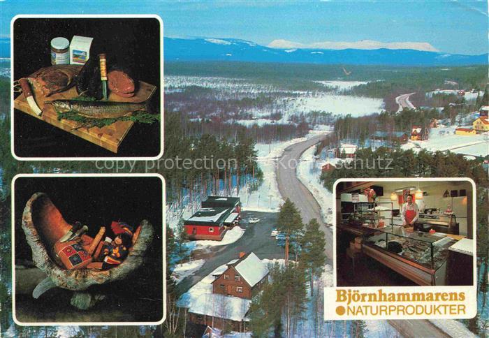 Haerjedalen Sweden Ett litet famijefoeretag med foeraedling och foersaeljning i