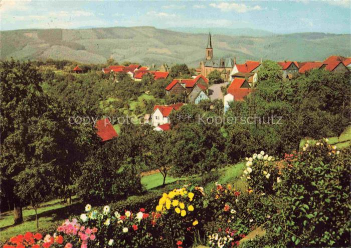 Rothenberg Odenwald Hessen Panorama