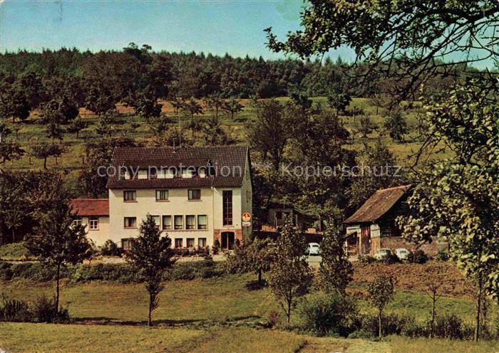 Annelsbach Hoechst  Odenwald Pension Dornroeschen Cafe