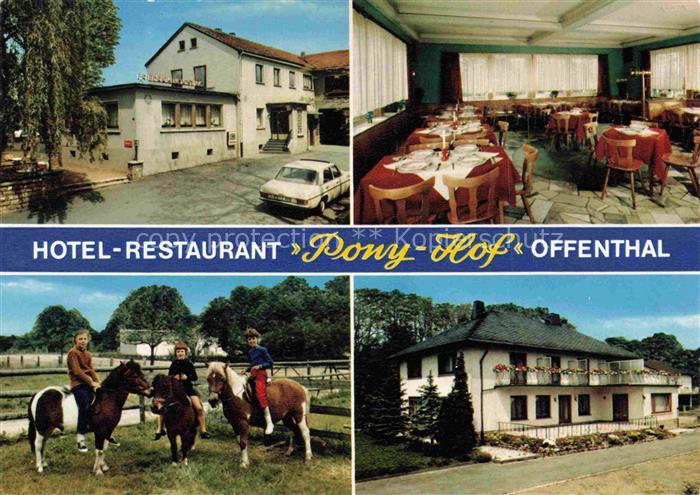 Offenthal Hotel Restaurant Pony Hof Gastraum Ponyreiten
