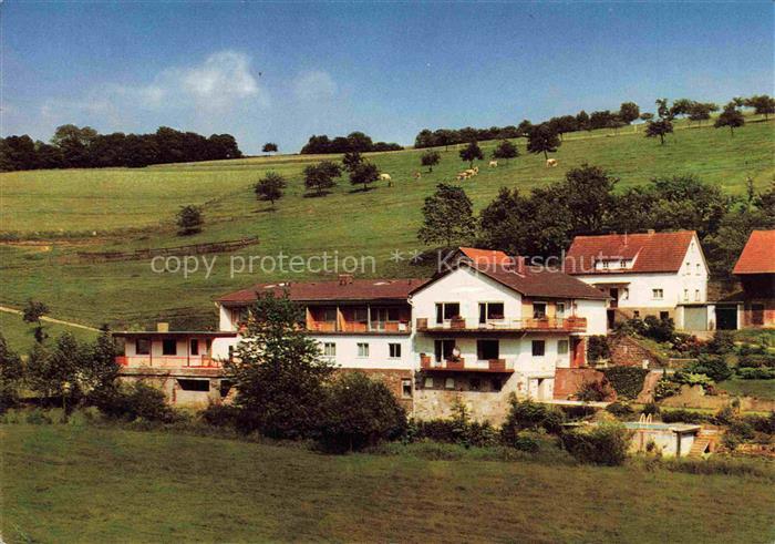 Falken-Gesaess Beerfelden Odenwaldkreis Hessen Gaestehaus Horus mit Studio fuer