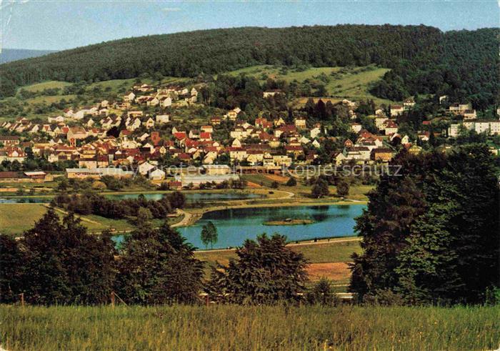 Bad Koenig Odenwald Hessen Panorama
