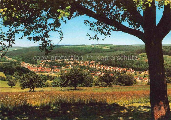 Zell Odenwald Panorama Gasthaus Zur Krone