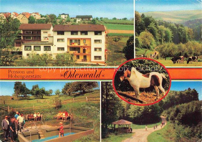 Hummetroth Odenwald Pension Hoehengaststaette Odenwald Wassertreten Ponys Pavill