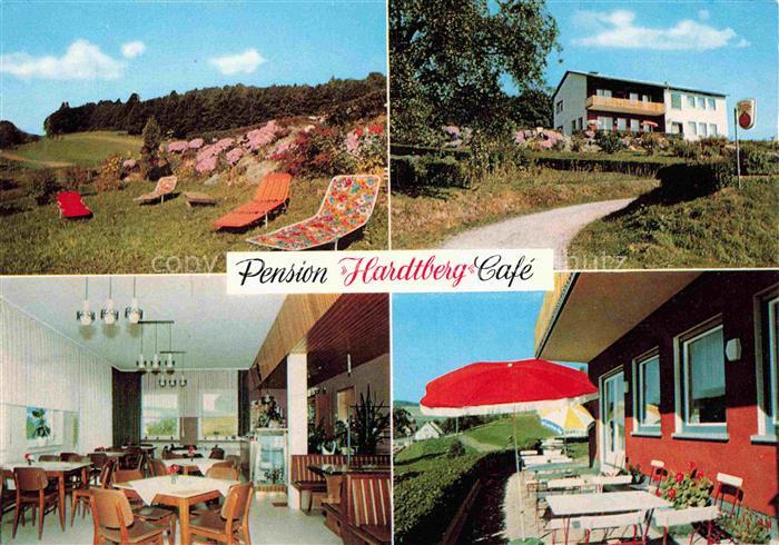 Airlenbach Pension Hardtberg Cafe Liegewiese Gaststube Terrasse