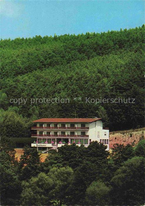 Bad Koenig Odenwald Hessen Forst Hotel Carnier