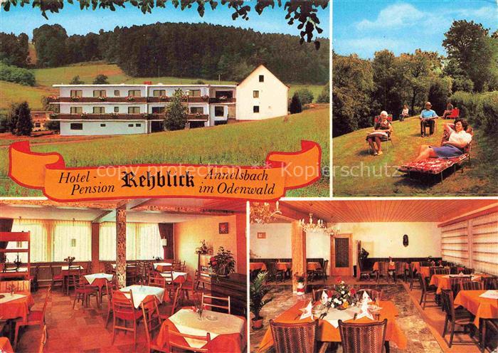 Annelsbach Hoechst  Odenwald Hotel Pension Rehblick Gastraeume Liegewiese