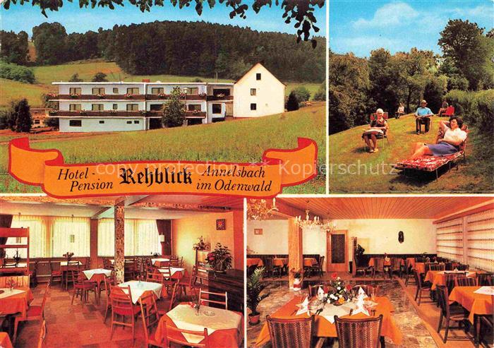 Annelsbach Hoechst  Odenwald Hotel Pension Rehblick Gastraeume Liegewiese