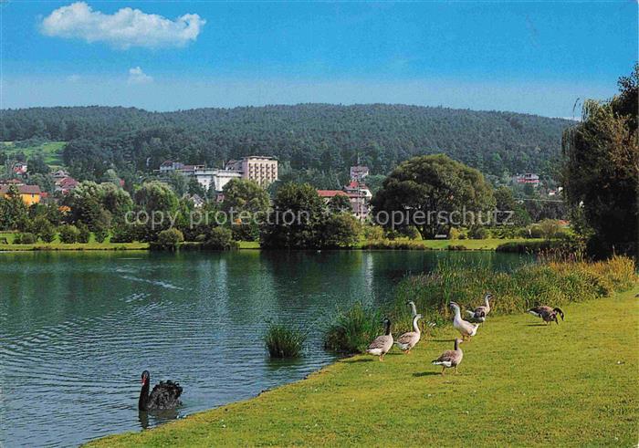 Bad Koenig Odenwald Hessen Kurpark Enten