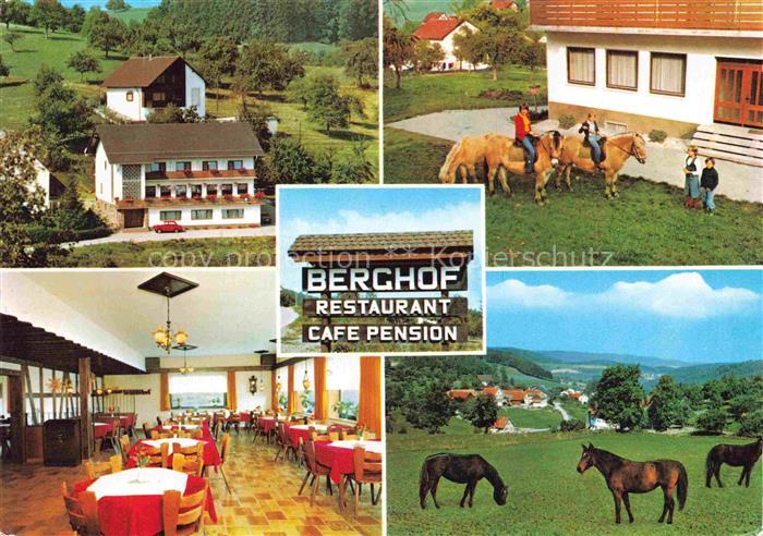 Erzbach Gaststaette Berghof Gastraum Ponyreiten Pferdeweide