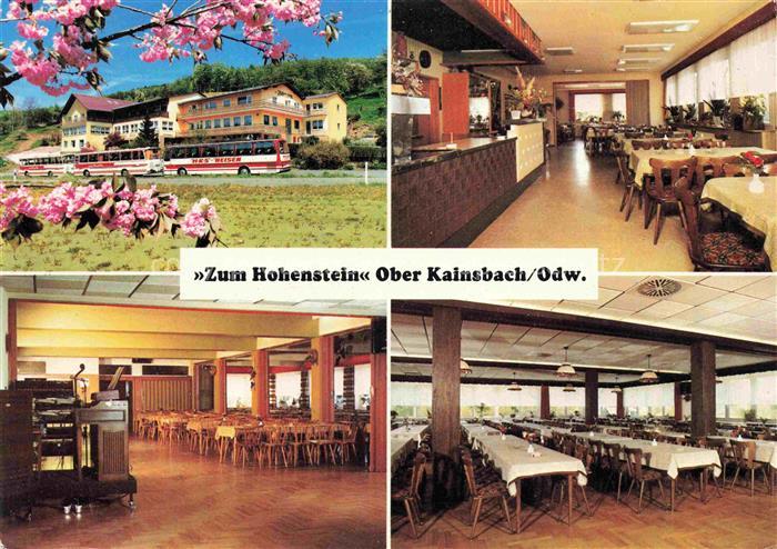Ober-Kainsbach Reichelsheim Odenwald Hessen Gasthaus Zum Hohenstein Gastraeume