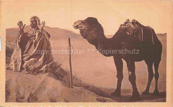 Kamele  Camel Chameau-- priere au desert Gebet Afrika