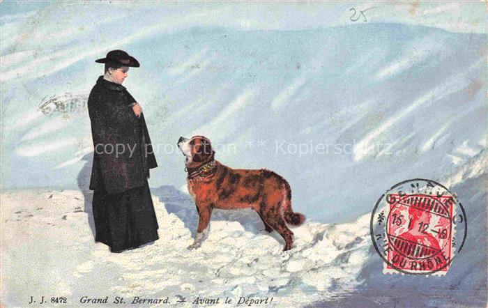 Bernhardiner Hunde dogs chiens Grand St. Bernard