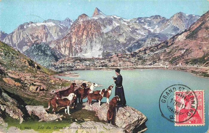 Bernhardiner Hunde dogs chiens Lac Grand St. Bernard