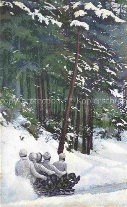 Wintersport Schlitten