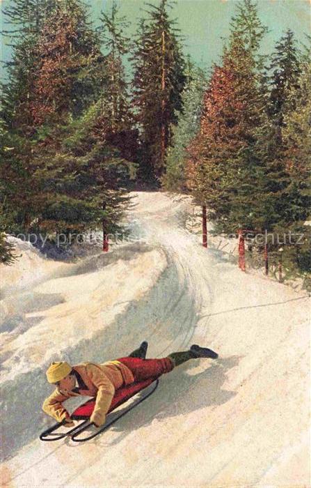 Wintersport Schlitten Tannenbaum