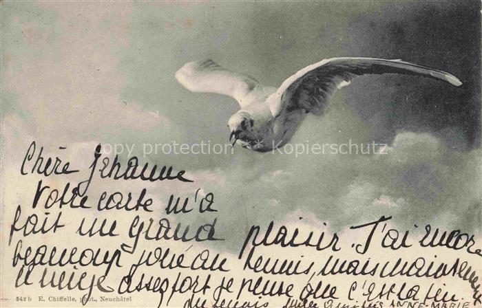 Moeve Voegel Birds Oiseaux-- Schweiz Neuchâtel
