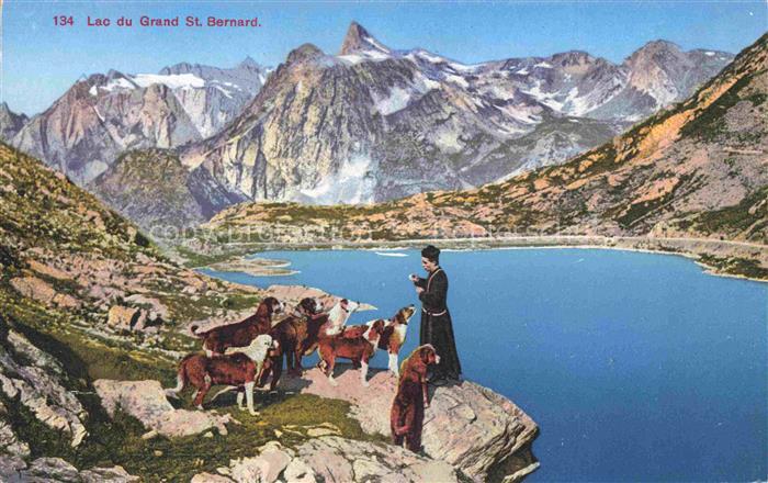 Bernhardiner Hunde dogs chiens Lac Grand St. Bernard