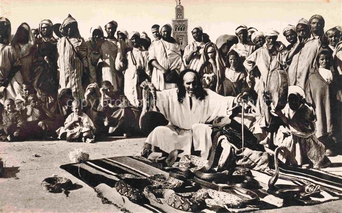 SCHLANGEN Snakes Serpents Serpientes-- Marrakech