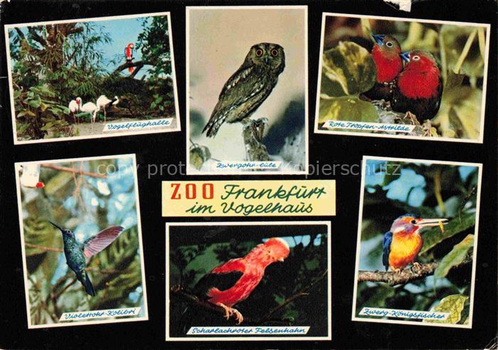 Zoo Gardin Zoologique-- Frankenfurt Vogelhaus