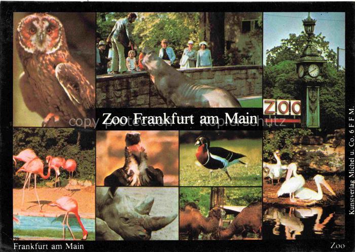 Zoo Gardin Zoologique-- Frankfurt Main Flamingo Eule