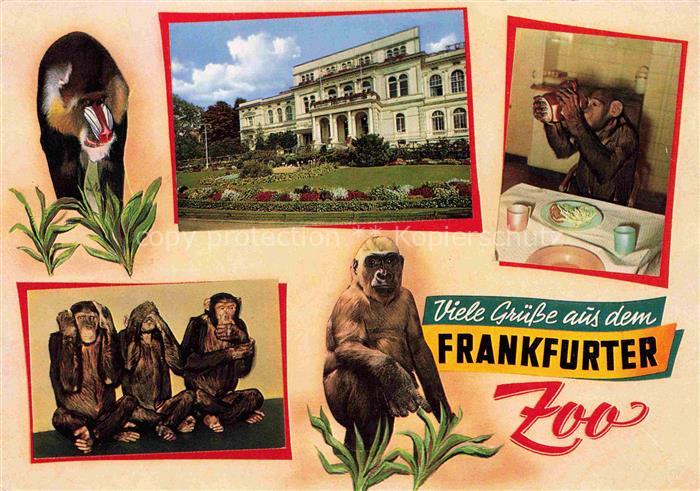 Zoo Gardin Zoologique-- Frankfurt Main Affen