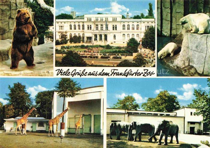 Zoo Gardin Zoologique-- Frankfurt Main Giraffen Baer Elefant