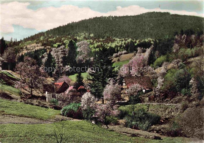 Loffenau Bad Herrenalb BW Waldrestaurant zur Plotzsaegemuehle