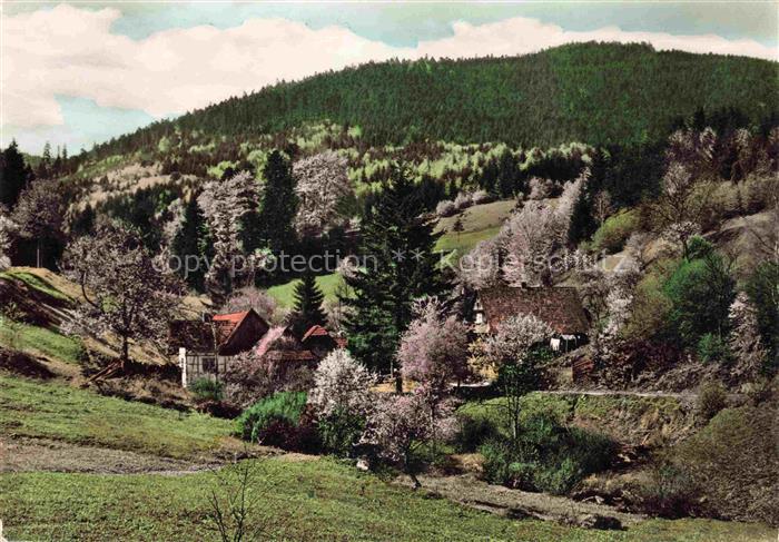 Loffenau Bad Herrenalb BW Waldrestaurant zur Plotzsaegemuehle