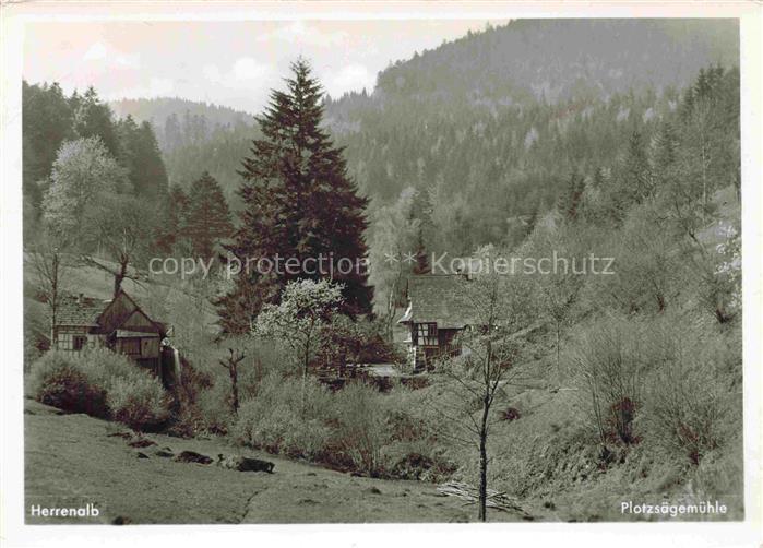 Loffenau Bad Herrenalb BW Plotzsaegemuehle