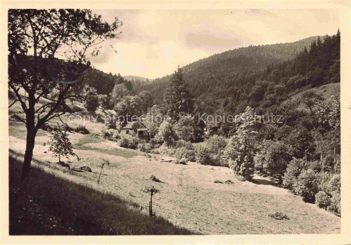 Loffenau Bad Herrenalb BW Plotzsaegemuehle