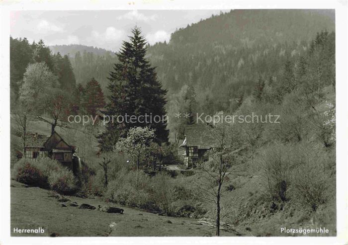 Loffenau Bad Herrenalb BW Waldrestaurant zur Plotzsaegemuehle